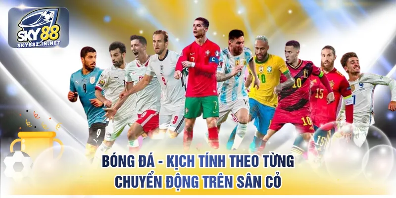 Bóng đá